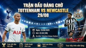 Soi kèo Spurs vs Newcastle: Đại chiến bom tấn vòng 2 Ngoại hạng Anh | OK9